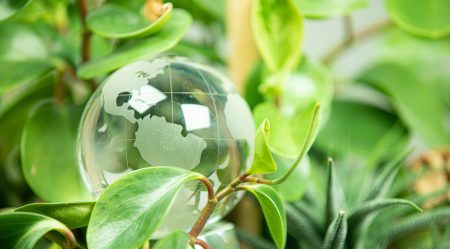 green earth concept glass sphere
